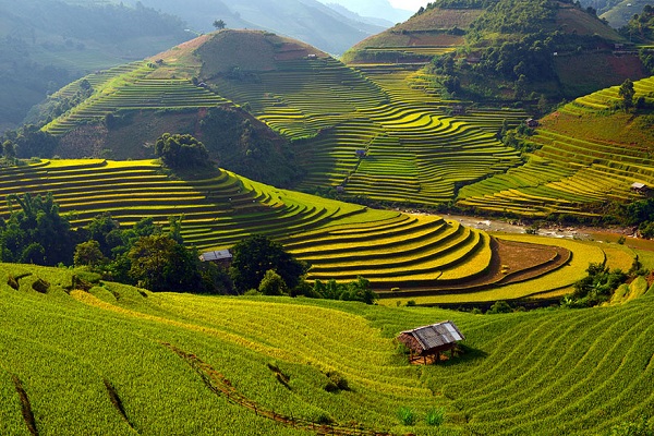 Mu Cang Chai et Rizieres